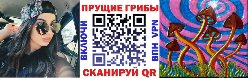 Псилоцибиновые грибы MAGIC MUSHROOMS  даркнет сайт  Тотьма 